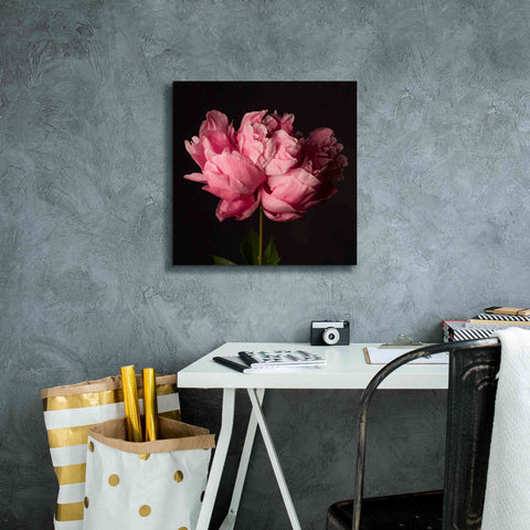 Image of 'Perfect Peony' by Leah McLean Giclee Canvas Wall Art,18 x 18