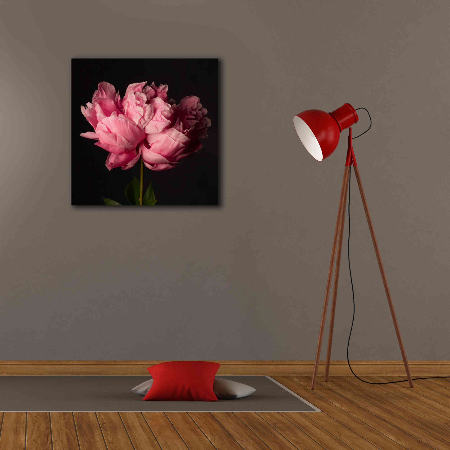 'Perfect Peony' by Leah McLean Giclee Canvas Wall Art,26 x 26