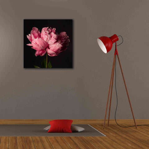 Image of 'Perfect Peony' by Leah McLean Giclee Canvas Wall Art,26 x 26