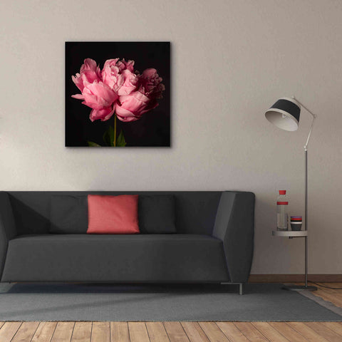 Image of 'Perfect Peony' by Leah McLean Giclee Canvas Wall Art,37 x 37