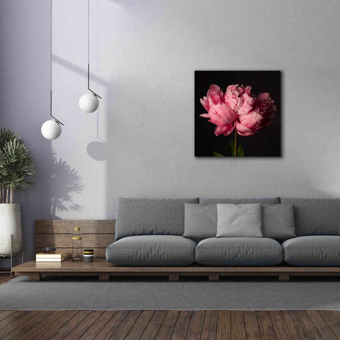 Image of 'Perfect Peony' by Leah McLean Giclee Canvas Wall Art,37 x 37