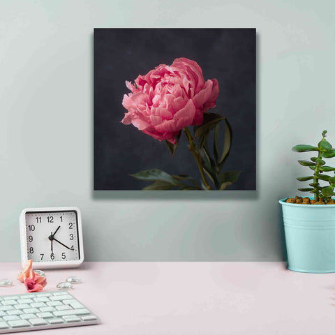 Image of 'Perfectly Pink' by Leah McLean Giclee Canvas Wall Art,12 x 12