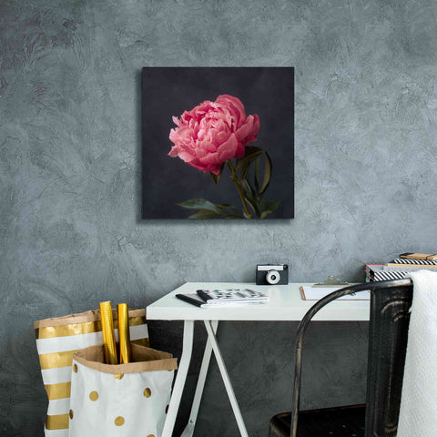 Image of 'Perfectly Pink' by Leah McLean Giclee Canvas Wall Art,18 x 18