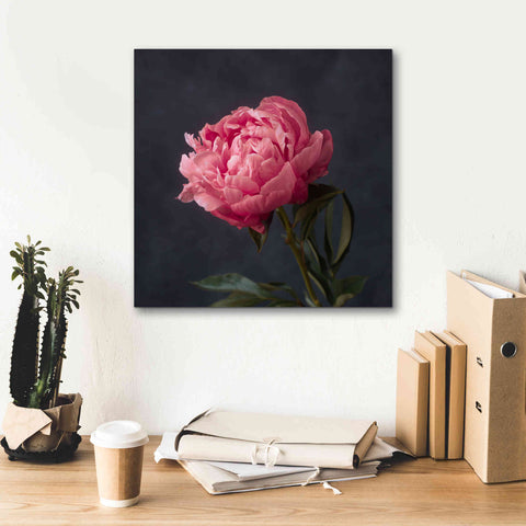 Image of 'Perfectly Pink' by Leah McLean Giclee Canvas Wall Art,18 x 18