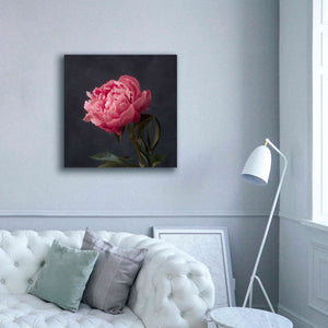 'Perfectly Pink' by Leah McLean Giclee Canvas Wall Art,37 x 37
