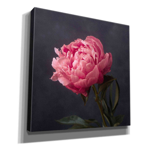 Image of 'Perfectly Pink' by Leah McLean Giclee Canvas Wall Art