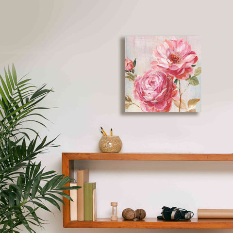 Image of 'Petal Paint 2' by Karen Smith Giclee Canvas Wall Art,12x12