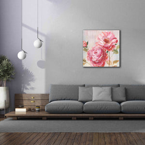 'Petal Paint 2' by Karen Smith Giclee Canvas Wall Art,37x37