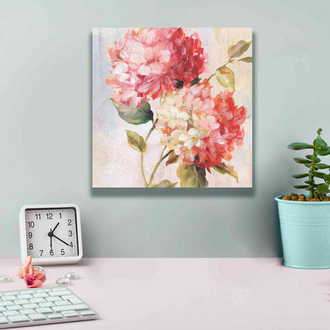 Image of 'Petal Paint 1' by Karen Smith Giclee Canvas Wall Art,12x12