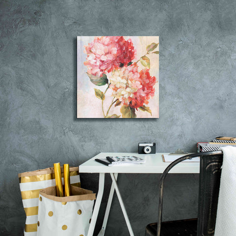 Image of 'Petal Paint 1' by Karen Smith Giclee Canvas Wall Art,18x18