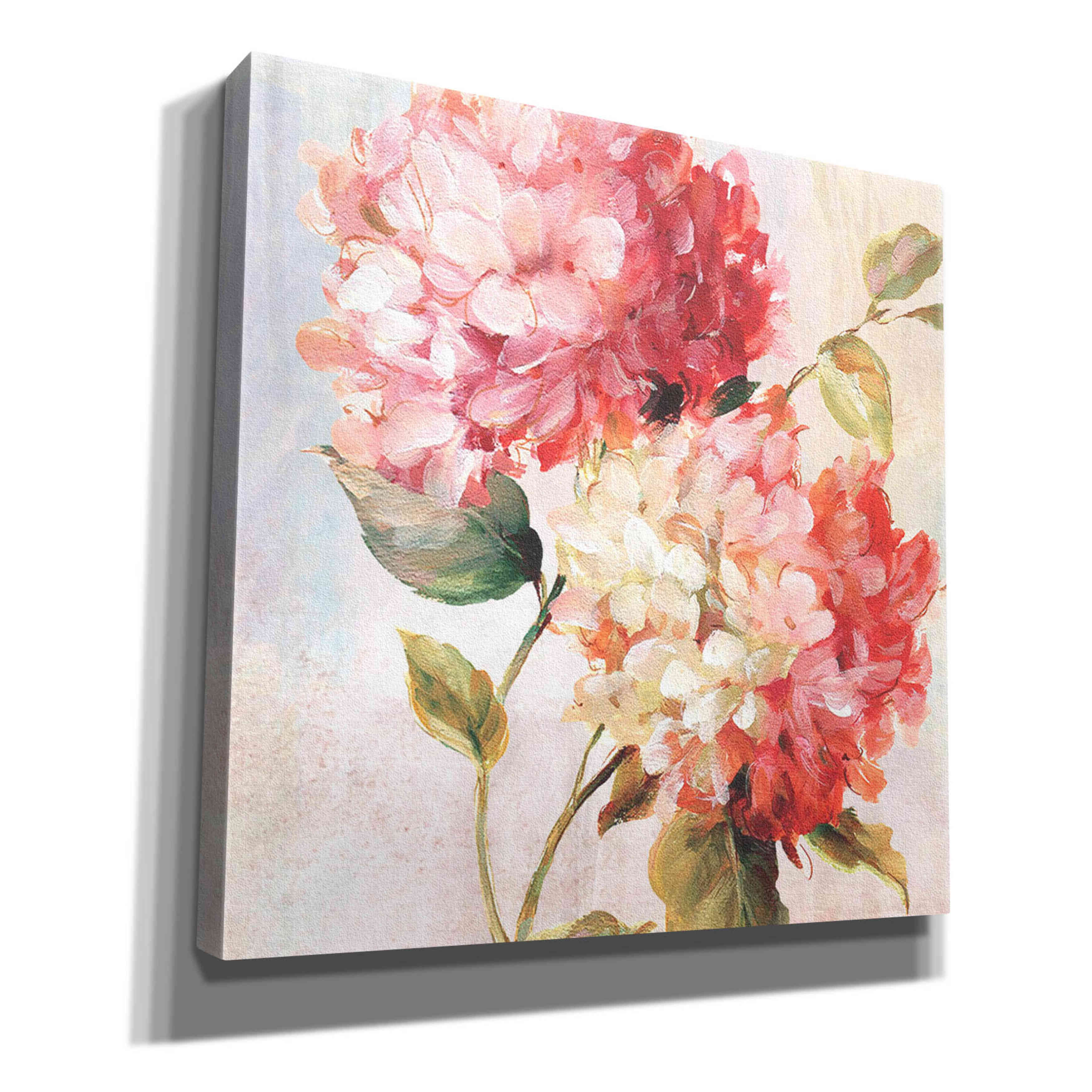 'Petal Paint 1' by Karen Smith Giclee Canvas Wall Art