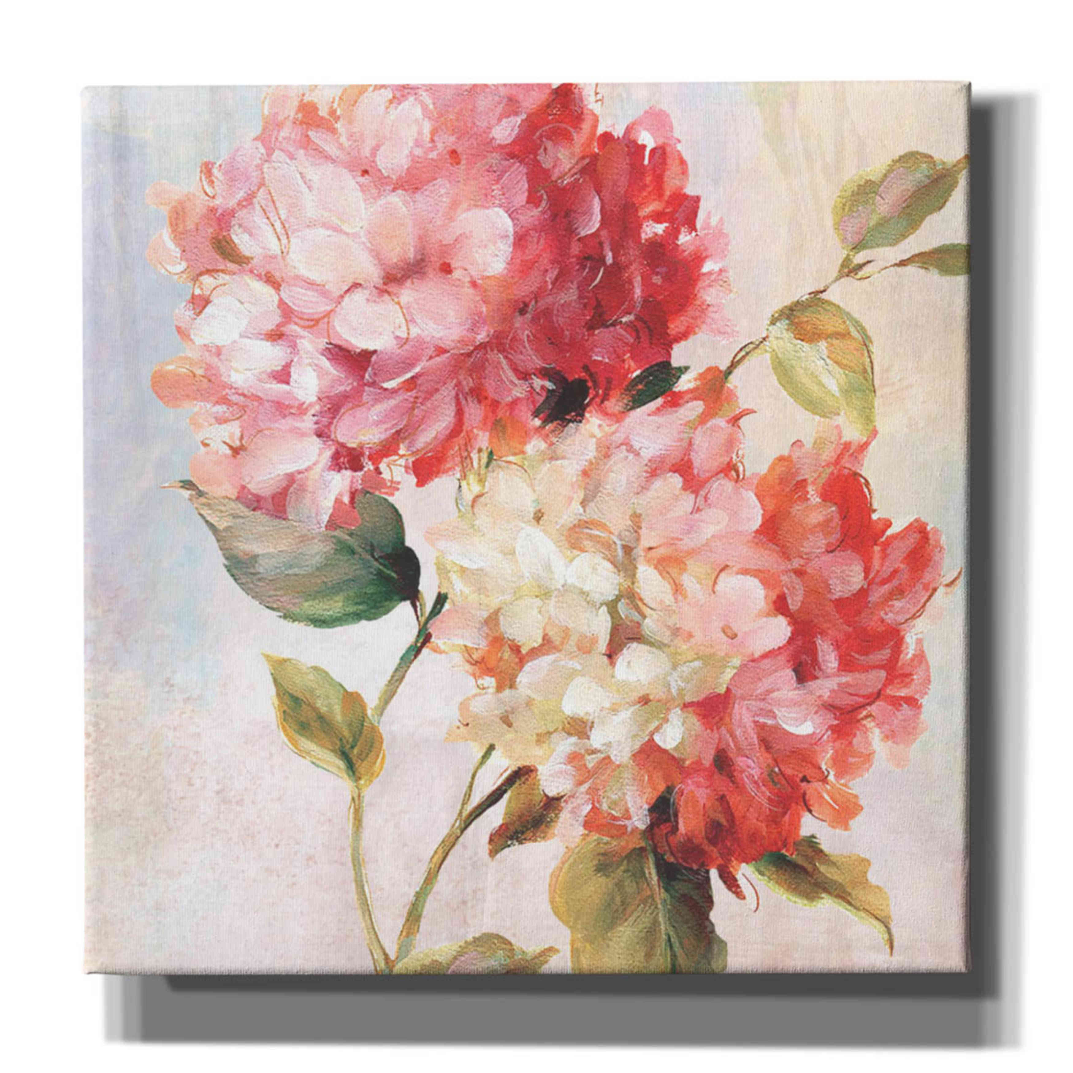 'Petal Paint 1' by Karen Smith Giclee Canvas Wall Art