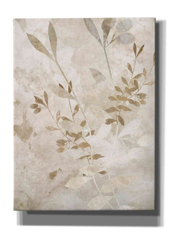 Image of 'Nature Wall 2' by Karen Smith Giclee Canvas Wall Art