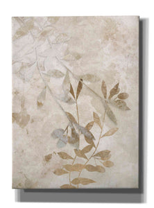 'Nature Wall 1' by Karen Smith Giclee Canvas Wall Art