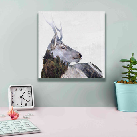 Image of 'Alpine Stag' by Karen Smith Giclee Canvas Wall Art,12x12