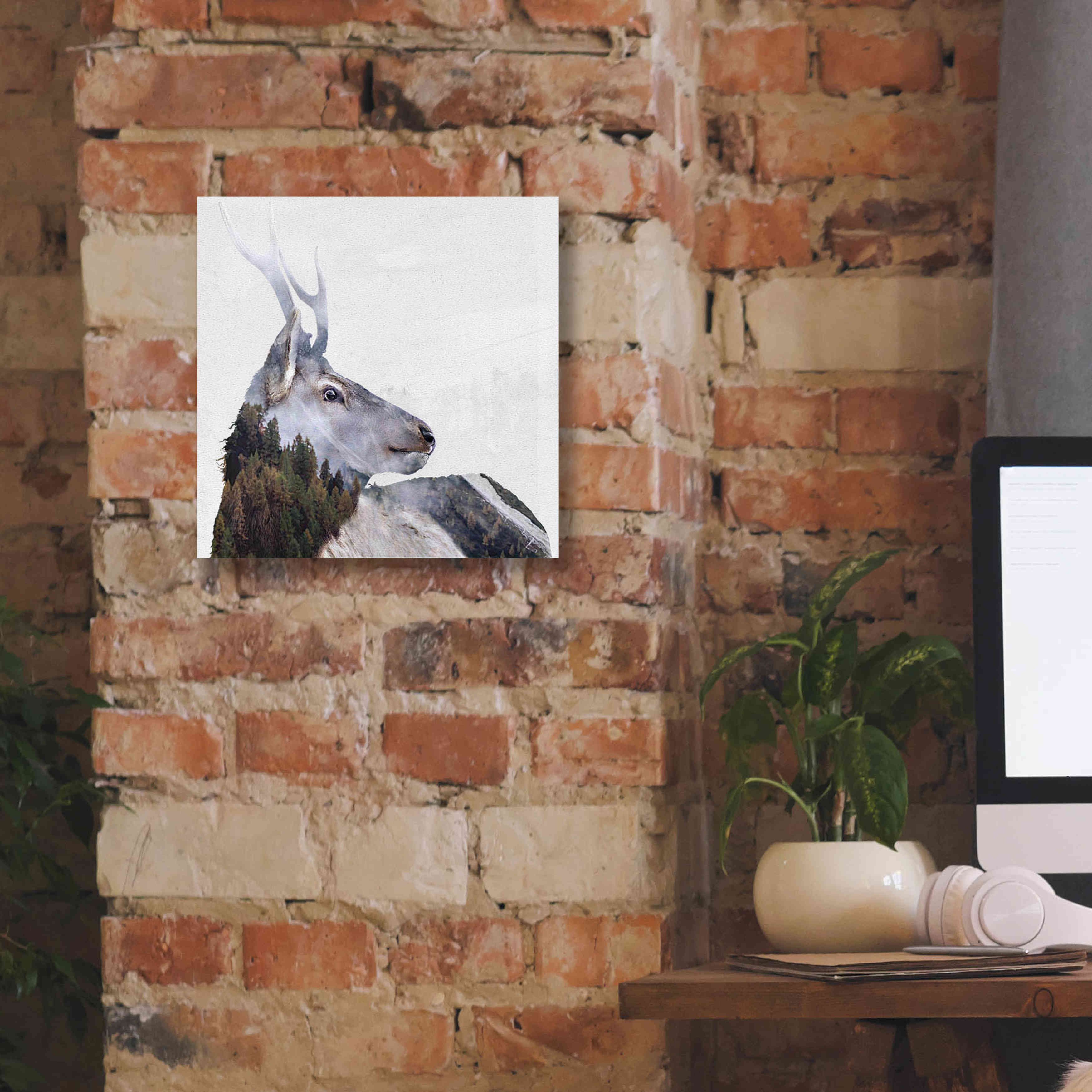 'Alpine Stag' by Karen Smith Giclee Canvas Wall Art,12x12