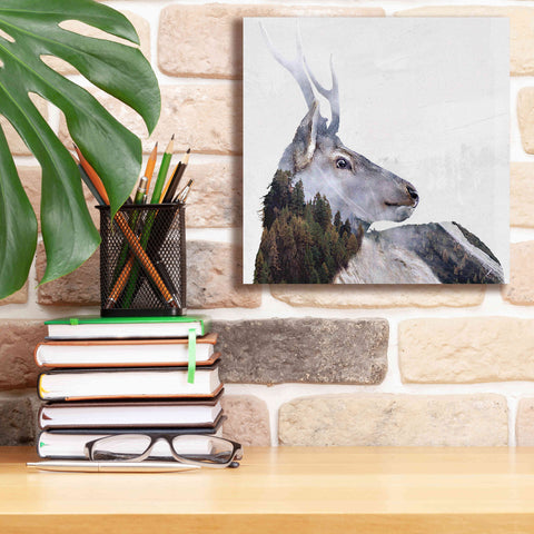 Image of 'Alpine Stag' by Karen Smith Giclee Canvas Wall Art,12x12