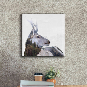 'Alpine Stag' by Karen Smith Giclee Canvas Wall Art,18x18