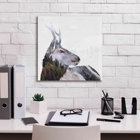 Image of 'Alpine Stag' by Karen Smith Giclee Canvas Wall Art,18x18