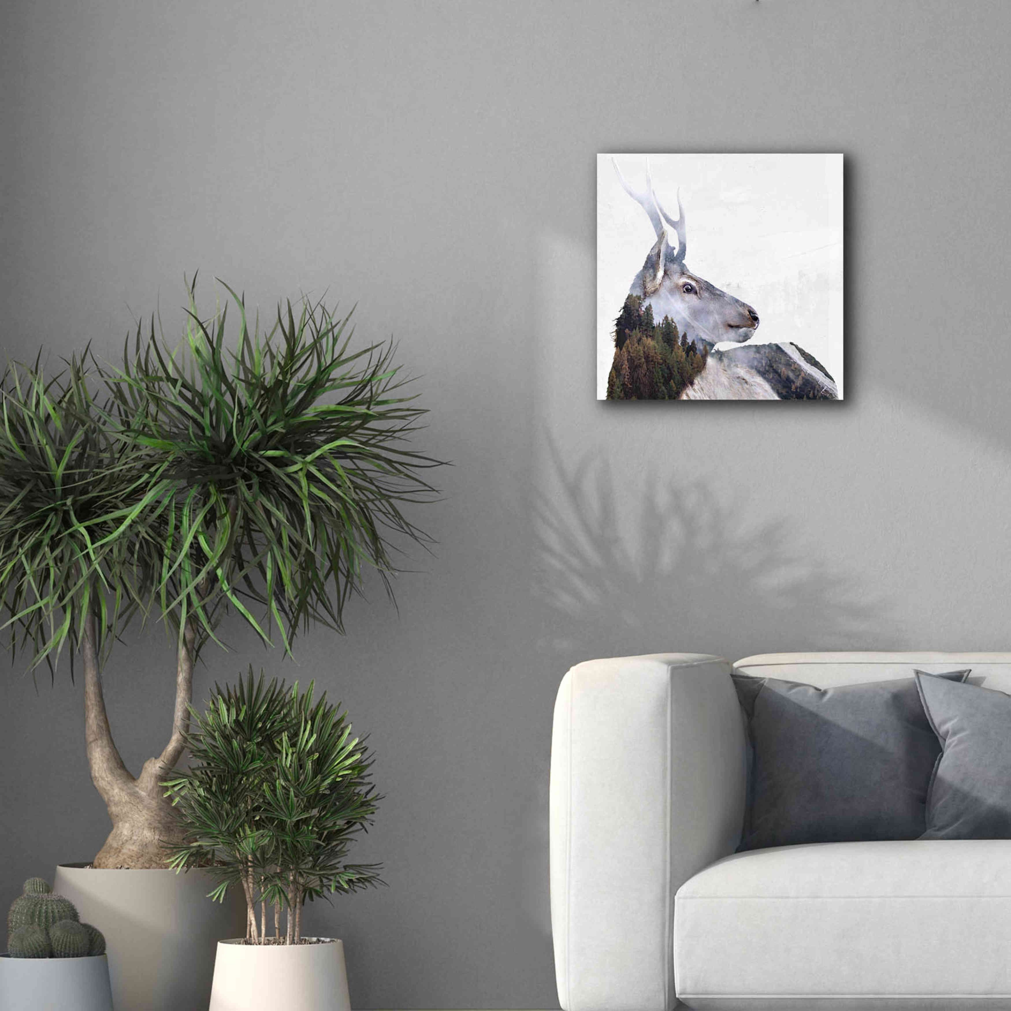 'Alpine Stag' by Karen Smith Giclee Canvas Wall Art,18x18