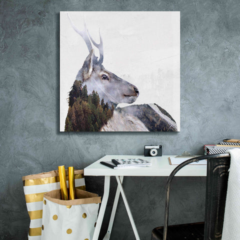 Image of 'Alpine Stag' by Karen Smith Giclee Canvas Wall Art,26x26