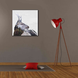 'Alpine Stag' by Karen Smith Giclee Canvas Wall Art,26x26
