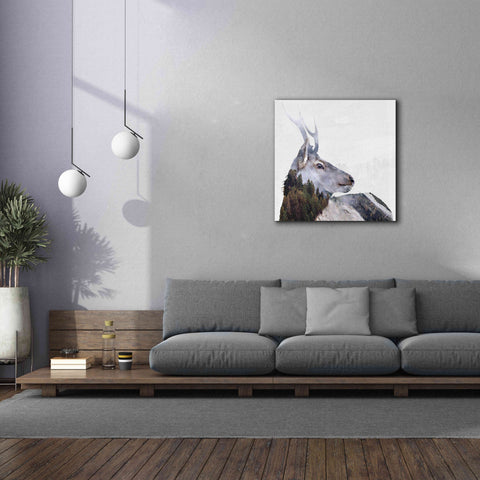 Image of 'Alpine Stag' by Karen Smith Giclee Canvas Wall Art,37x37