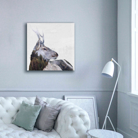 Image of 'Alpine Stag' by Karen Smith Giclee Canvas Wall Art,37x37