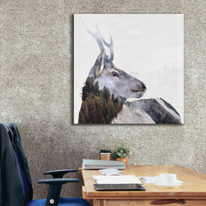 'Alpine Stag' by Karen Smith Giclee Canvas Wall Art,37x37