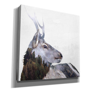 'Alpine Stag' by Karen Smith Giclee Canvas Wall Art