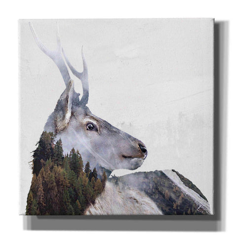 Image of 'Alpine Stag' by Karen Smith Giclee Canvas Wall Art
