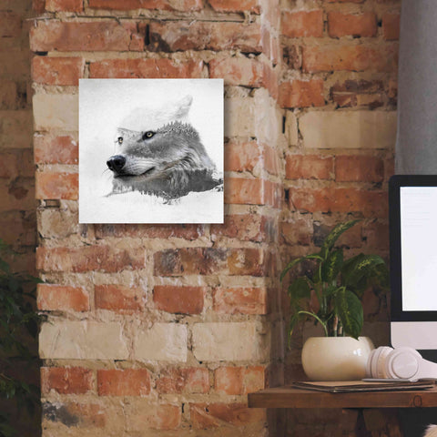 Image of 'Wolf In Ice' by Karen Smith Giclee Canvas Wall Art,12x12