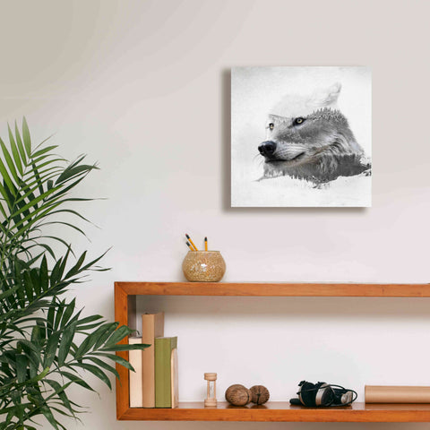 Image of 'Wolf In Ice' by Karen Smith Giclee Canvas Wall Art,12x12