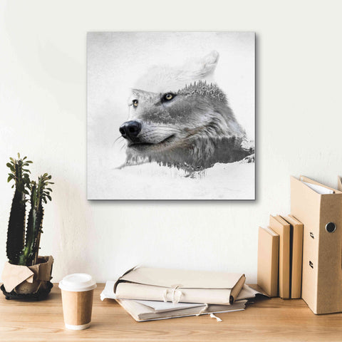 Image of 'Wolf In Ice' by Karen Smith Giclee Canvas Wall Art,18x18
