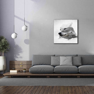 'Wolf In Ice' by Karen Smith Giclee Canvas Wall Art,37x37