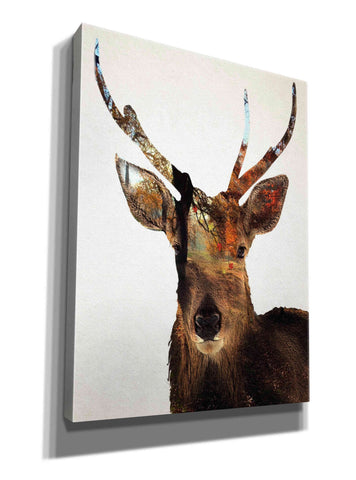 Image of 'Stag Forest' by Karen Smith Giclee Canvas Wall Art
