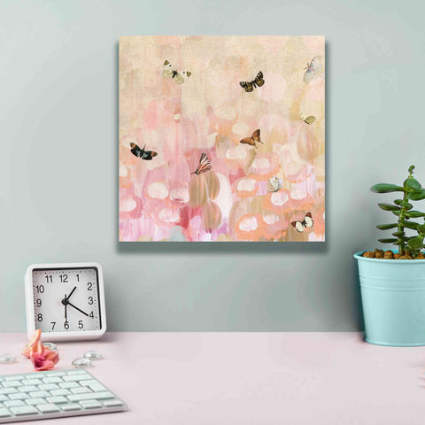Image of 'Butterfly by 8' by Karen Smith Giclee Canvas Wall Art,12x12