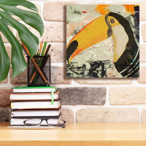 'Toucan Play 1' by Karen Smith Giclee Canvas Wall Art,12x12