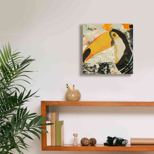 'Toucan Play 1' by Karen Smith Giclee Canvas Wall Art,12x12