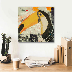 'Toucan Play 1' by Karen Smith Giclee Canvas Wall Art,18x18