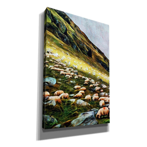 Image of 'Highland Hillside Herd' by Ashley Aldridge Giclee Canvas Wall Art