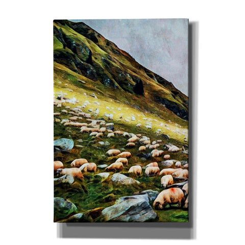 Image of 'Highland Hillside Herd' by Ashley Aldridge Giclee Canvas Wall Art