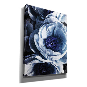 'Peony Blue Petals 1' by Ashley Aldridge Giclee Canvas Wall Art