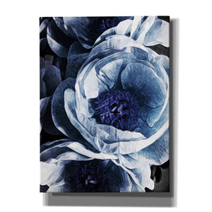 'Peony Blue Petals 1' by Ashley Aldridge Giclee Canvas Wall Art