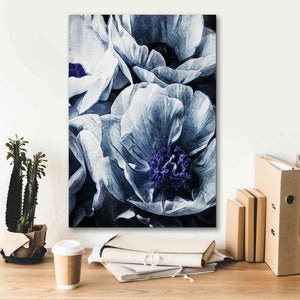 'Peony Blue Petals 2' by Ashley Aldridge Giclee Canvas Wall Art,18 x 26