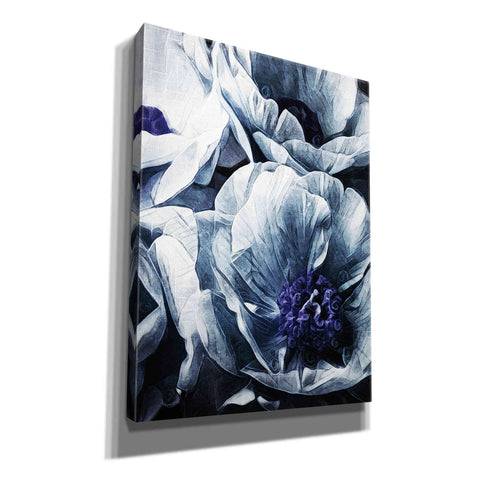 Image of 'Peony Blue Petals 2' by Ashley Aldridge Giclee Canvas Wall Art