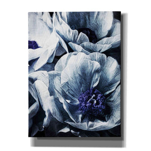 'Peony Blue Petals 2' by Ashley Aldridge Giclee Canvas Wall Art