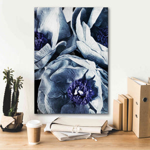 'Peony Blue Petals 3' by Ashley Aldridge Giclee Canvas Wall Art,18 x 26