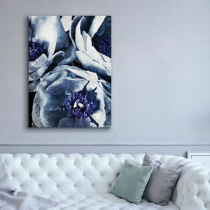 'Peony Blue Petals 3' by Ashley Aldridge Giclee Canvas Wall Art,40 x 54