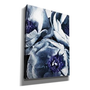 'Peony Blue Petals 3' by Ashley Aldridge Giclee Canvas Wall Art